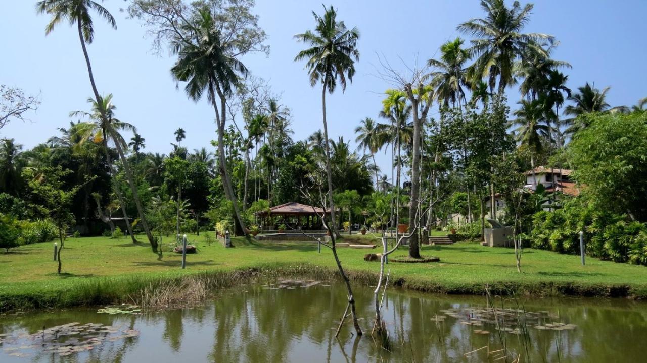 Avalon Village Resort 인두루와 외부 사진