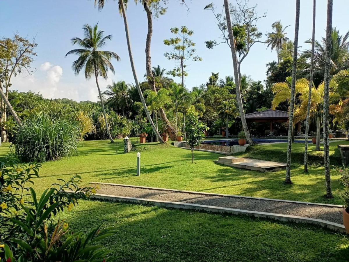 Avalon Village Resort 인두루와 외부 사진