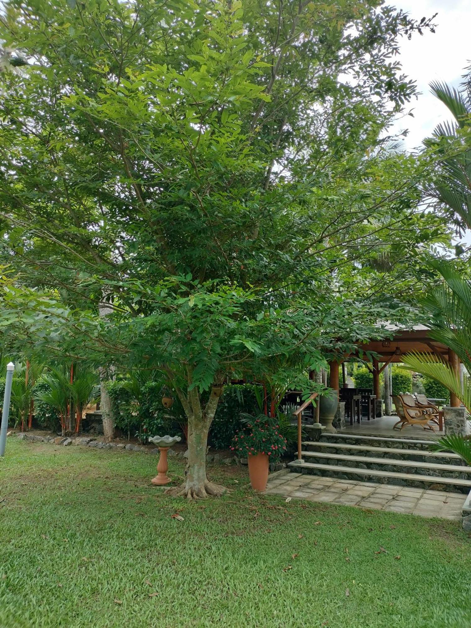 Avalon Village Resort 인두루와 외부 사진