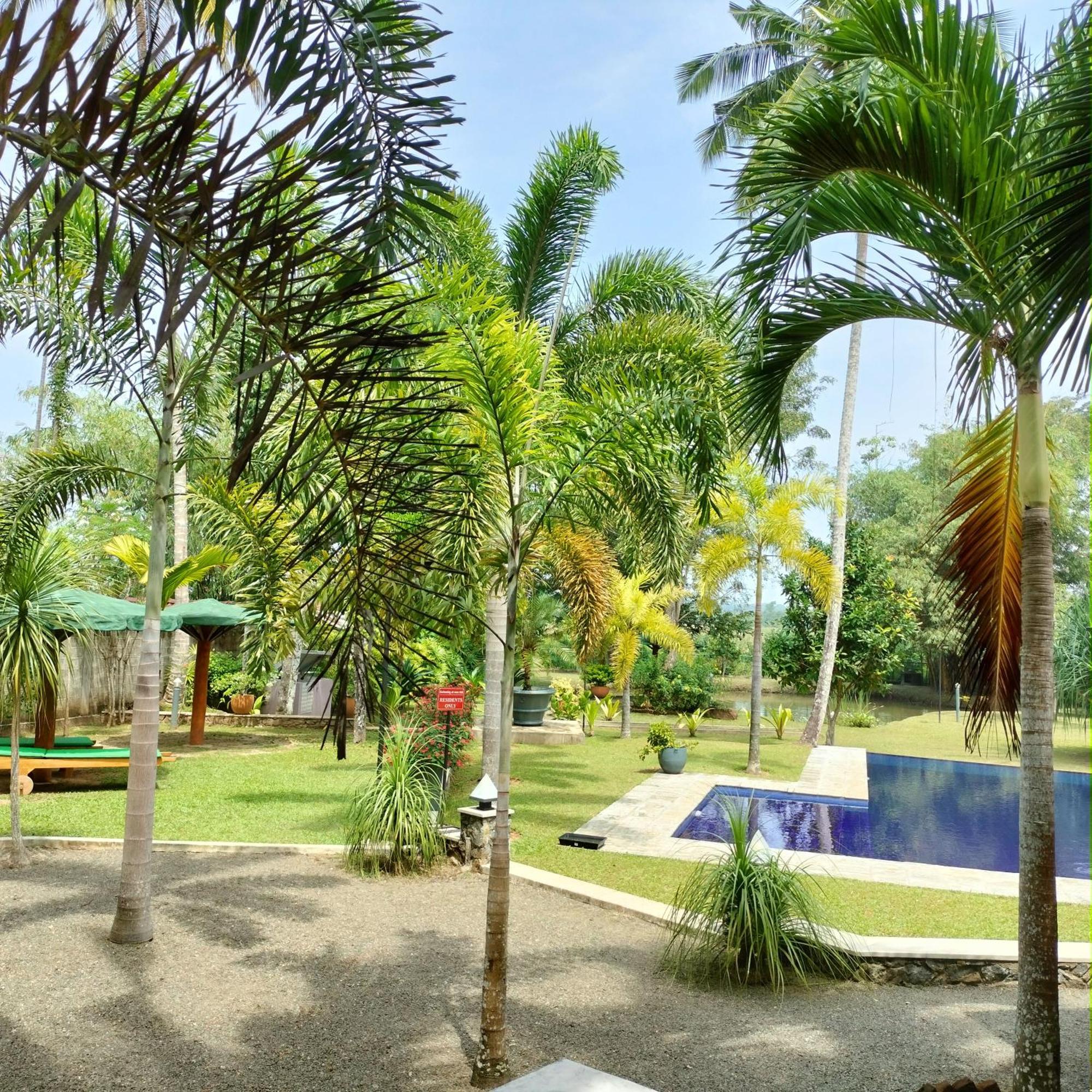 Avalon Village Resort 인두루와 외부 사진