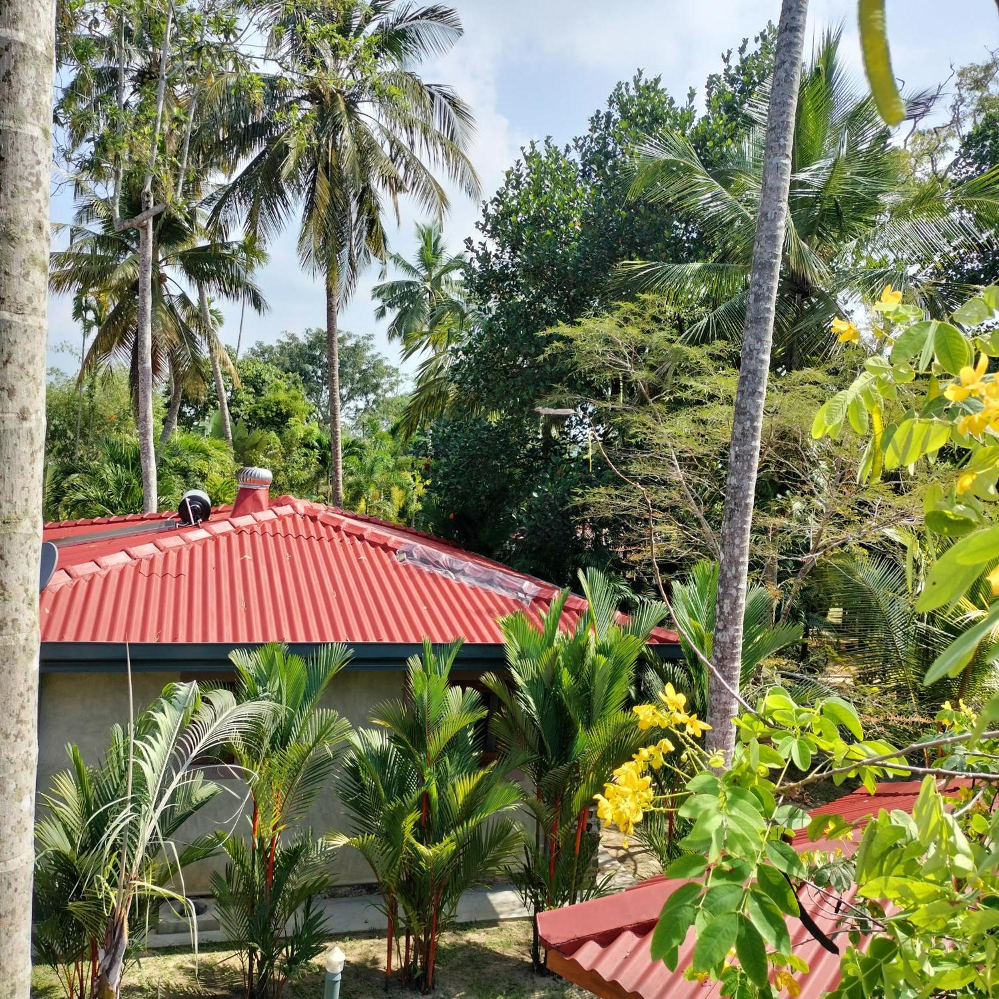 Avalon Village Resort 인두루와 외부 사진